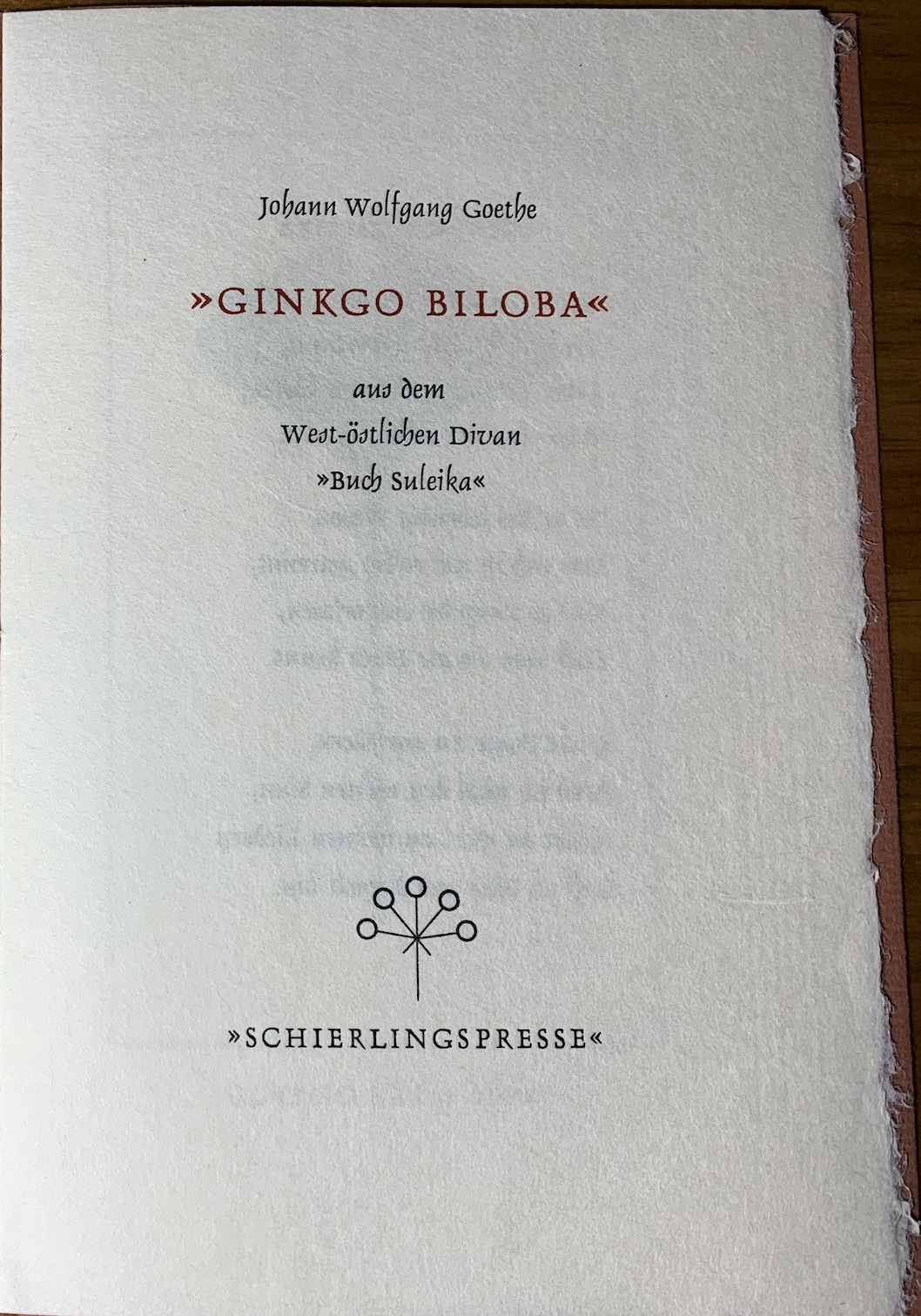 Ginkgo Biloba 1988